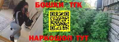 стаф Нальчик