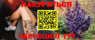 стаф Нальчик