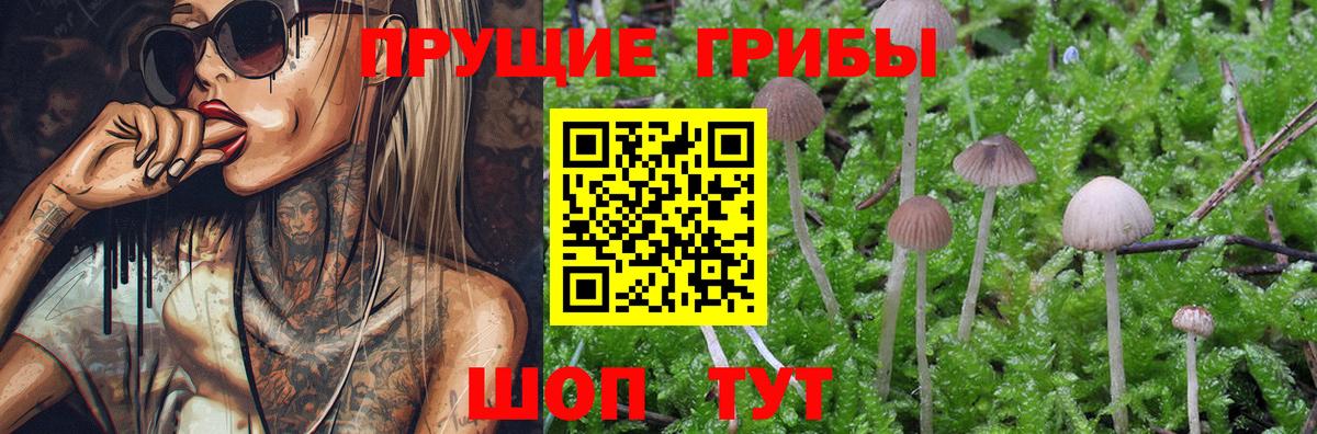 Галлюциногенные грибы мухоморы Тара